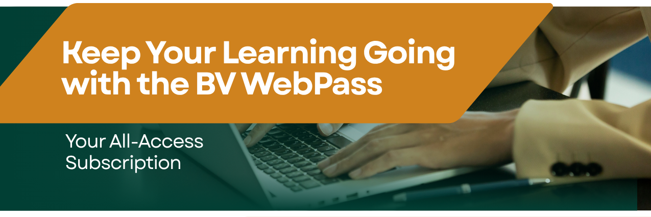 BV Webpass